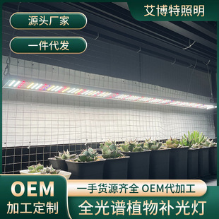 Samsung 301H Evo Plant Growth Lamp Agave Fill Light Customized Single Multi-Branch Indoor Plant Fill Light