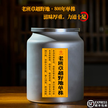 �F؛��2026���^���ϰ���ԽҰ��800��Ř�����1000�˿����M���