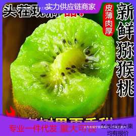 正宗绿心猕猴桃新鲜孕妇水果当季整箱奇异果对接电商直播产地直发