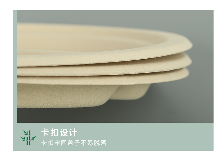 3格9寸盘子详情_11