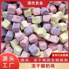 工場直販 フリーズドライヨーグルトキューブ フルーツ風味発酵フリーズドライスナック 卸売 フリーズドライ技術