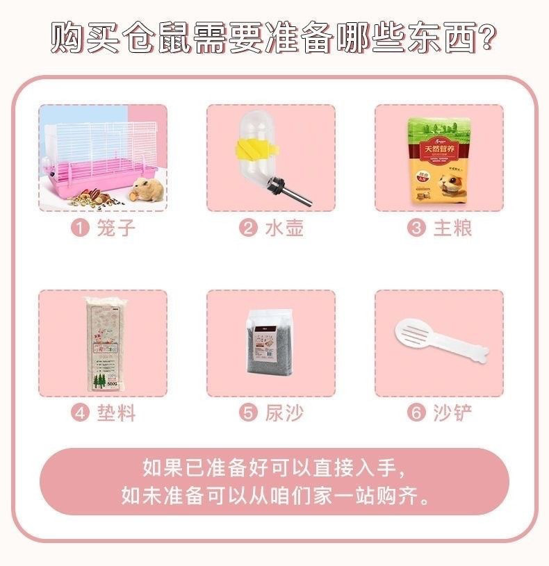 1f03dc3e-5897-4cd3-9e23-de482ee66861.jpe