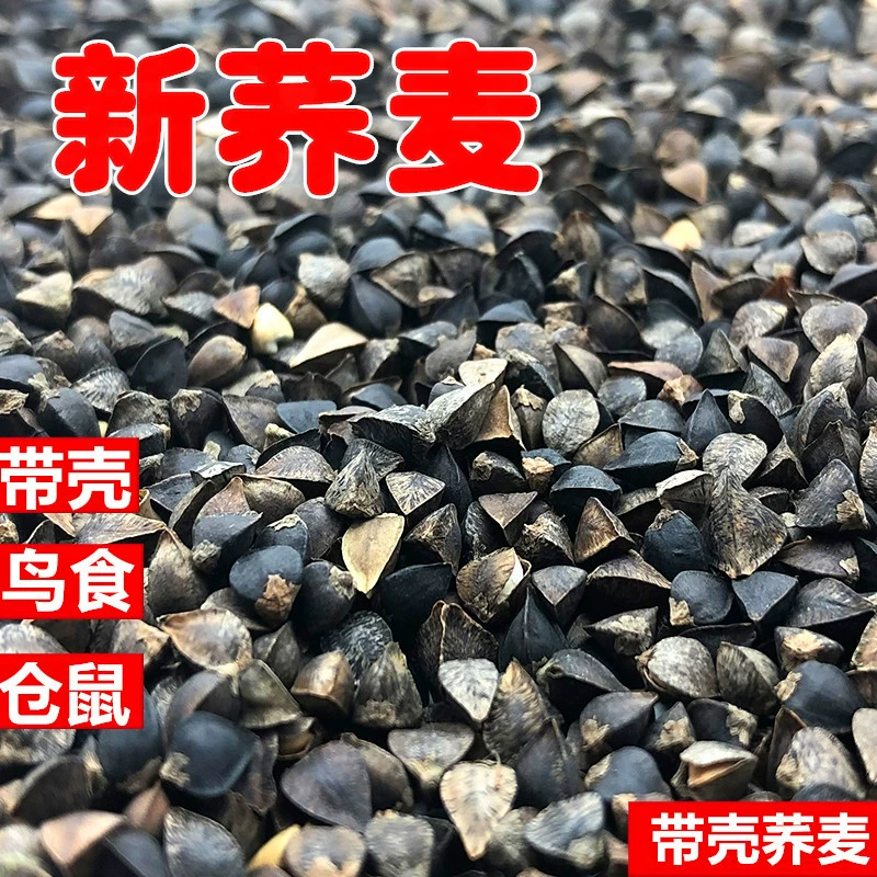 Новые товары гречневая обстрелян гречневая попугай еда большой попугай еда птицы ЕДА хомяка еда птицы гречневая еда голубя
