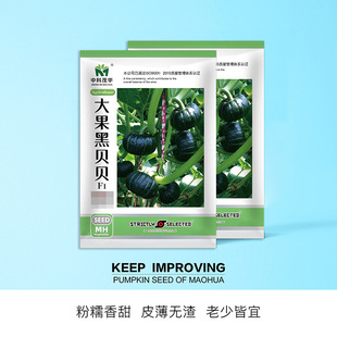 �п�ï�A�߲˷N�Ӵ����ؐؐ�ϹϷN�Ӹ����Ŵ