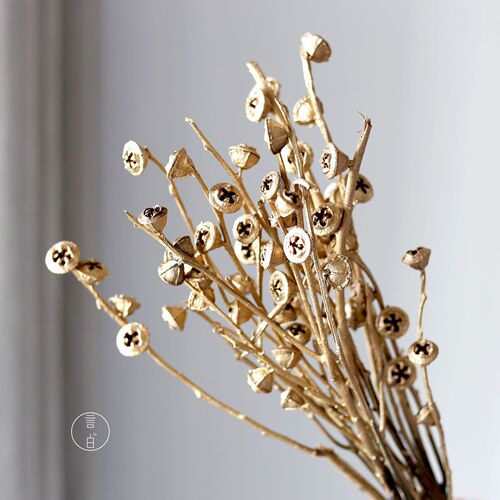 Gold and silver dried flowers eucalyptus fruit millet fruit zombie fruit air fruit acacia bean poppy beauty Lantern Festival flowers