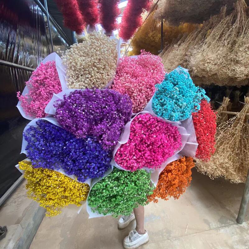 Eternal life stars bouquet living room furnishings dried flowers real flowers multi-color diy material valentine's day factory straight hair
