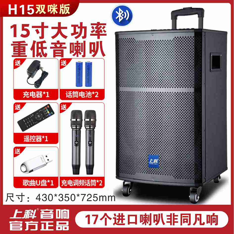 广场舞音响功放一体机家用KTV演出K歌乐器弹唱蓝牙音箱蓝牙5.0|undefined