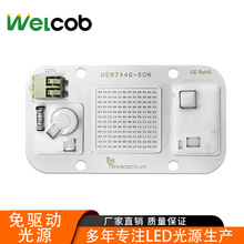 AC220-240V�Ϲ����50W����UV��ֲ�����L�̻���COB��Դ���ɾ��ԟ�