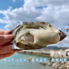 ����S���] ��ɽ������r���r�����r����ˬ����ā����ʮ��5����l