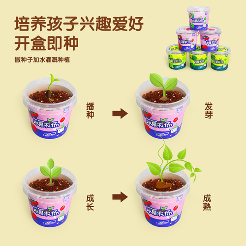 Children's diy hand-planted creative plants for kindergarten potted micro-gifts science experiment toys gifts wholesale