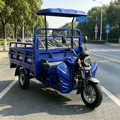Agricultural Cargo-Carrying Fuel-Powered Tricycle for Export to Africa, Passenger Motorcycle with Canopy, Durable, Powerful, Multi-Seater (Sərnişin üçtəkərli motosikllar)