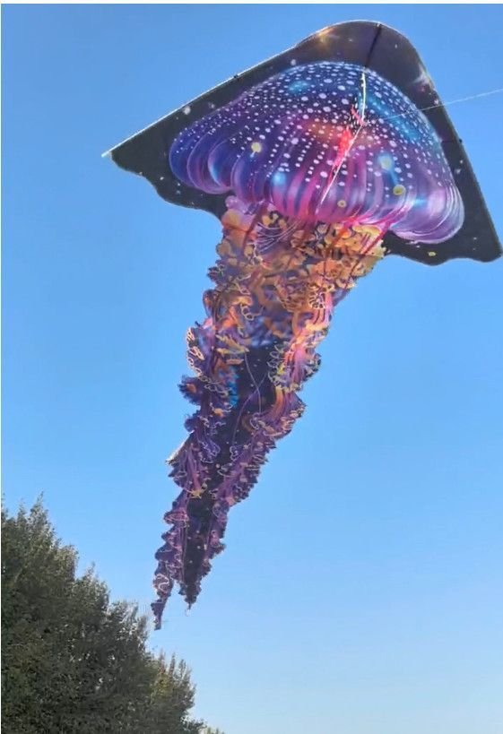 5922c0dc-fd3a-4631-852e-506be1b677eb.jpe