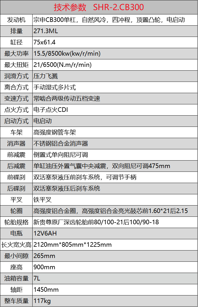 New Xgzshr2Cb300 Off-Road Racing Vehicle with Zongshen Engine, 300Cc All-Terrain Off-Road Motorcycle