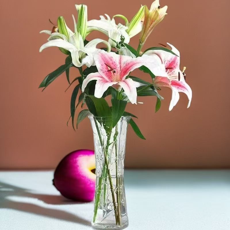 Vaso de gran tamaño de vidrio transparente decoración de sala de estar gran calibre de flores hidroponía rica bambú grueso rosa de bambú
