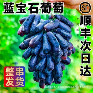 �{��ʯ�������r5��ˮ���Y�Б������������l����ָ����ָ�o�Ѻ���