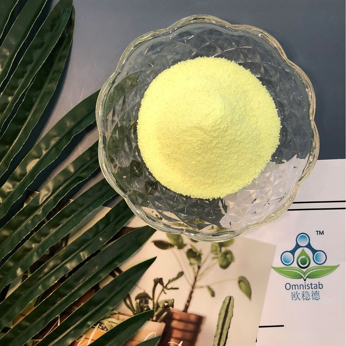 高纯度抗紫外线抗老化 欧稳德紫外线吸收剂BP2 CAS131-55-5