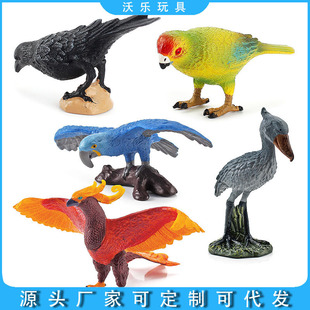 ���Q�羳���挍���o�B���k�[���B��w�Є���ĵ���W�^�R�\ˮ���f