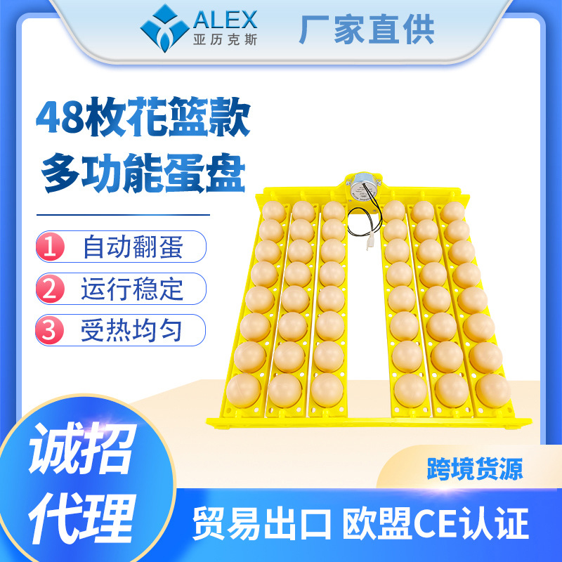 48 Placa de huevo de codorniz de pato de pollo huevo automático torneado pequeño hogar mini incubadora Placa de huevo con motor suministro transfronterizo