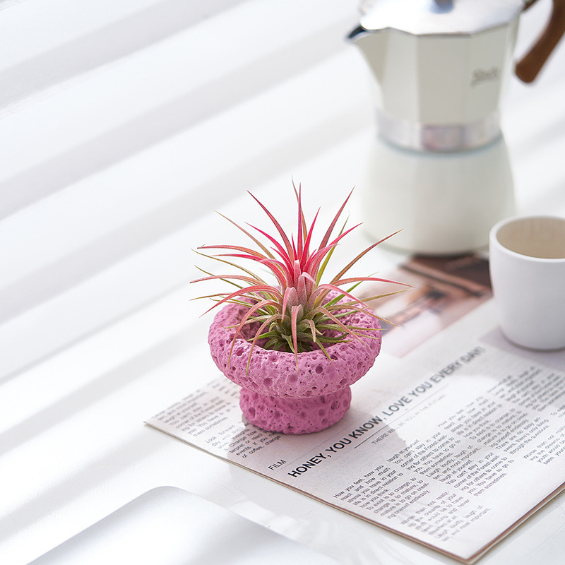 3b48b919-4410-46cd-a121-08aa7e095a01.jpe