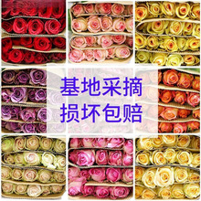 �滨õ�廨�r�������������ֱ�l���l����ˮ�B�͏d�廨�����f���]