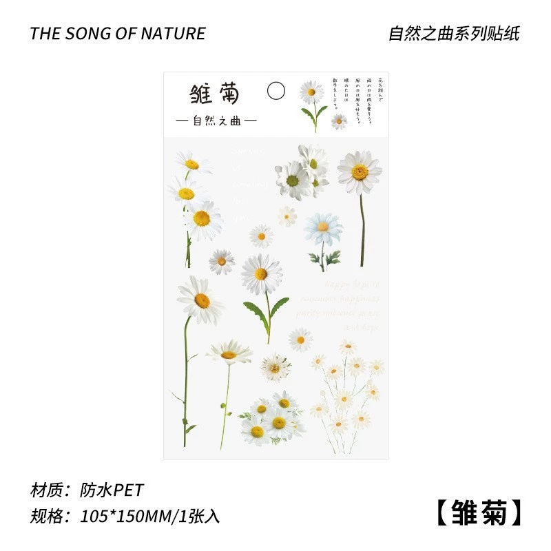 Transparent Waterproof Stickers, Floral & Botanical Designs, Small 3.33×1×0.33 cm, Assorted