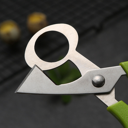 Quail egg scissors, egg scissors, egg beater, quail egg opener, egg cutter, egg cutter, bird egg scissors, egg shell opener
