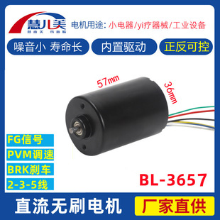 BL3657ֱ���oˢ늙C�p��늙C�R�_������555�oˢ2��3��4��5��6��