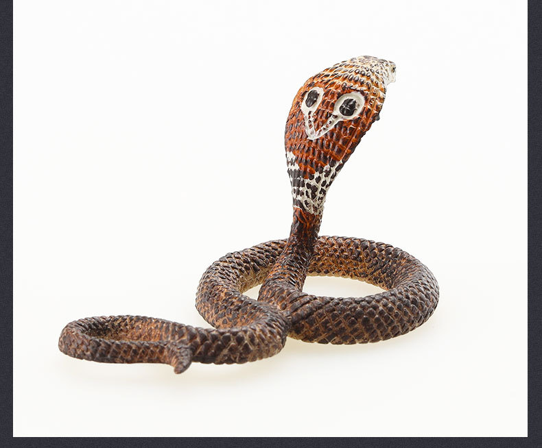 蛇系列-详情图_10.jpg