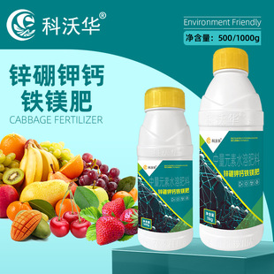 �\����}�F�V���Ǵ��}���w�𰱻�������Ԫ���߲˻���ͨ��