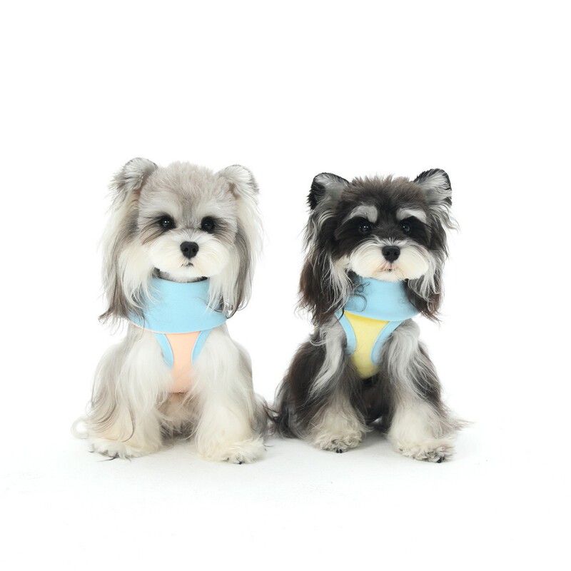 Dog Clothes Spring & Fall Warm New Teddy Schnauzer Shiba Inu Corgi Pet Cotton Bottoming Shirt Thermal Clothing