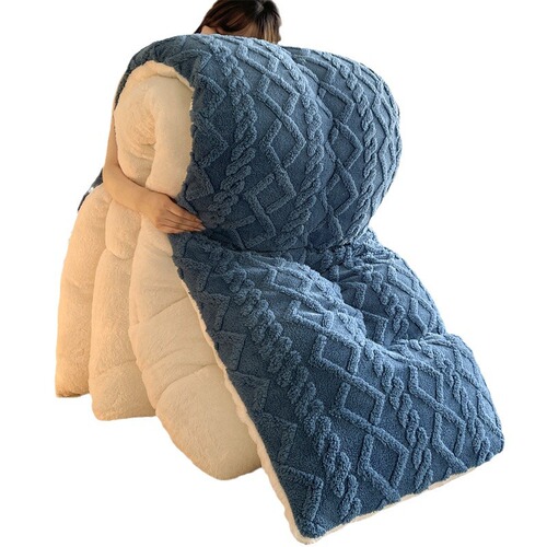 Winter Thick Tafette Fleece Blanket Core Milk Fleece Double-Sided Fleece Winter Blanket Warm Lamb Wool Spring and Autumn Quilt Cotton Cover