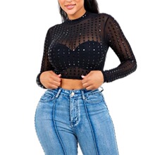 Y 84150 Sheer Mesh T-Shirt with Lace Collar ��Ƭװ��T��
