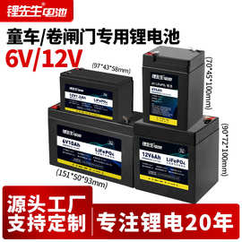 6V12V24V儿童玩具车电动车电池批发定制多款式多规格锂代铅酸电池