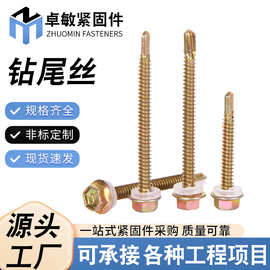 钻尾丝 钻尾螺丝彩钢瓦螺丝六角头燕尾钉自攻自钻钻尾螺丝钉