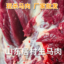 ���l���R���r��Ȧ�B�R��F���F�uɽ�|���R���R�ŵȿ��x�S��