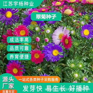 շNļN_ܷN̨ͥԺ׷NСrջѻN