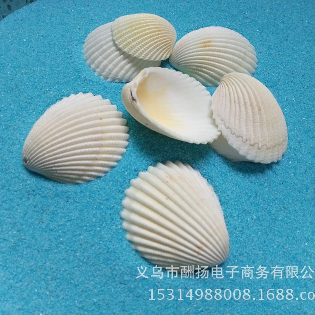 Coconut shells, 3-4cm each