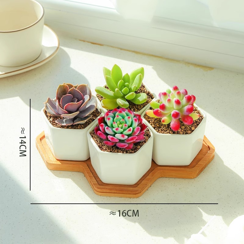 [초보자 시험심기] 육각형 4격자 조합 B (화분+대나무 홀더 포함)