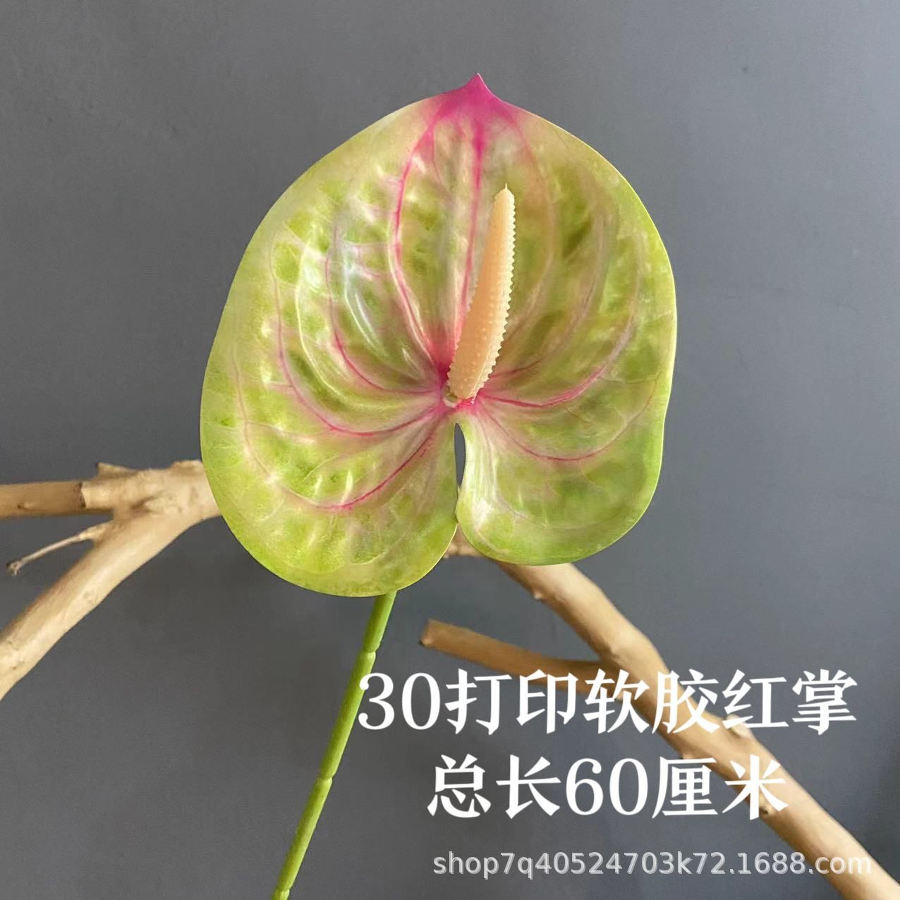 색상 11호