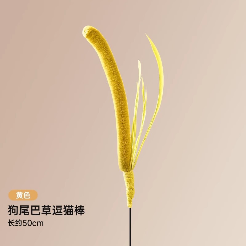 노란 개 꼬리 잔디