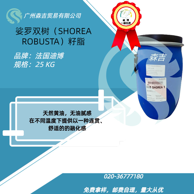 法国迪博  SHOREA T 娑罗双树（SHOREA ROBUSTA）籽脂