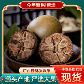 广西罗汉果干果桂林特产泡水 特果裸果62mm以上 散装批发罗汉果