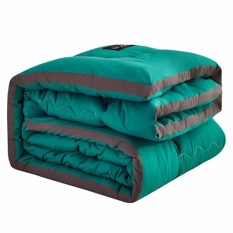 Thickened Three-Dimensional Winter Quilt, Warm Quilt Core for Winter Student Dormitory, Single-Person Cotton Quilt for Spring and Autumn, Suitable for All Seasons