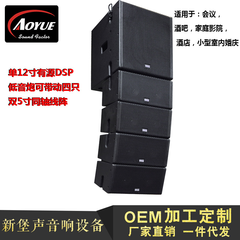 Doble altavoz de matriz coaxial de 5 pulgadas mini columna de audio solo 12 pulgadas digital activo DSP pequeña línea matriz altavoz subwoofer