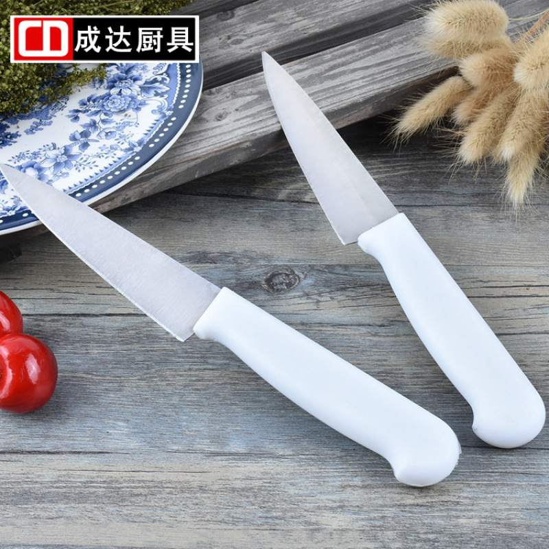 Yangjiang fuente fábrica de cuchillos personalizados cuchillo de cocina cuchillo de frutas cuchillo de corte doméstico de acero inoxidable de cinco pulgadas cuchillo de peeling de fruta