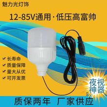 led低压灯泡 12V24V36V60V电瓶车灯 夜市地摊灯工地低压灯批发