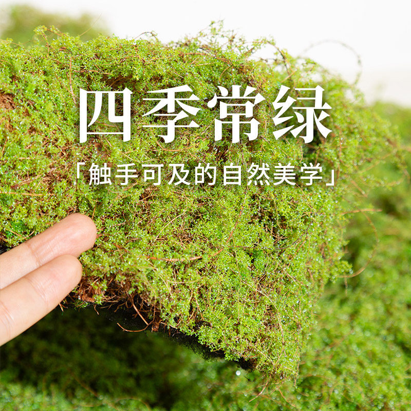 Bionic artificial fake moss simulated moss turf plant desktop potted plant decoration micro landscape layout lawn ornaments