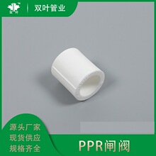 SֱPPRȏֱȫֱӹܹ PPRֱܼͨS20-110