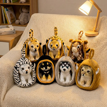 �羳��Ʒ��ͨС�C�{�����ϻ����X����ʿ��ë�q���Ѓ�ͯ�����ż