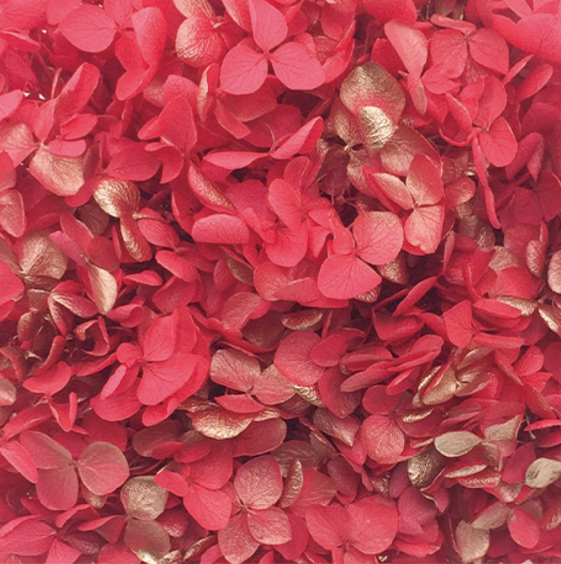 Anna Hortensia rojo + oro-20g/caja